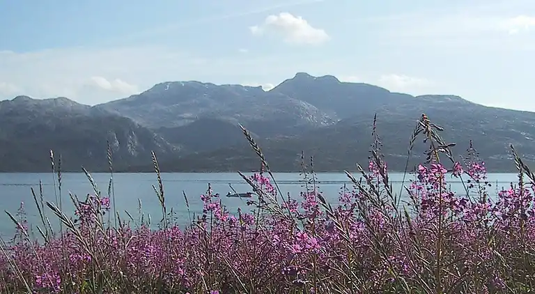 Sommerhus i Lødingen