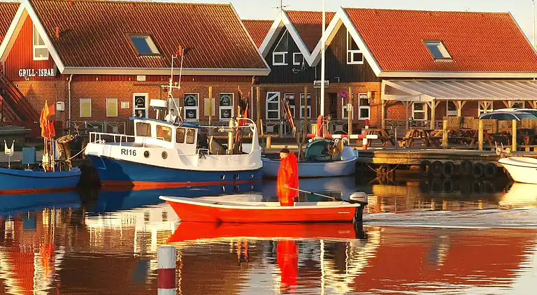 Holiday home in Bork Havn