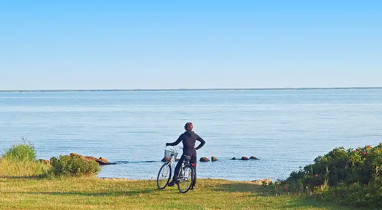 Holiday home in Bork Havn