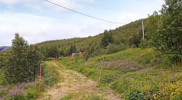 Sommerhus i Karlsøy