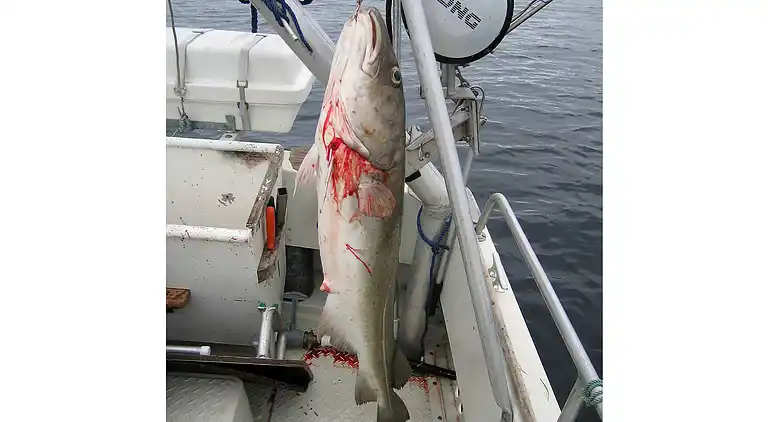 Sommerhus i Lødingen