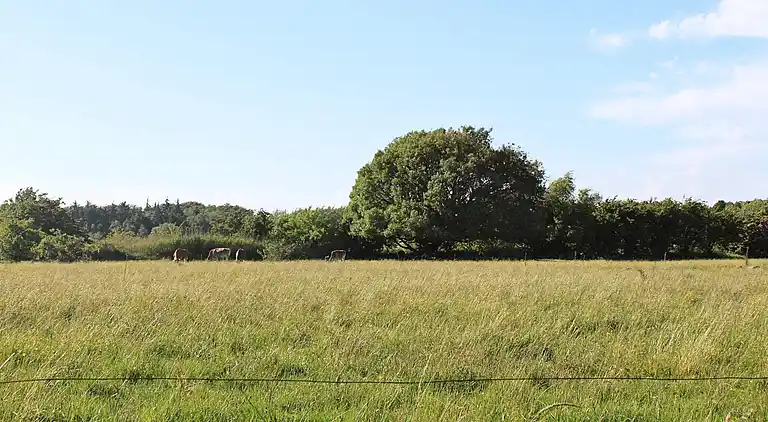 Holiday home in Ristinge
