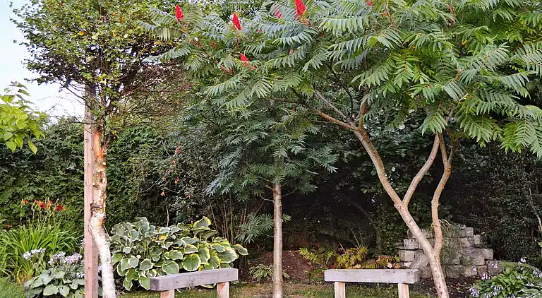 Sommerhus ved Smidstrup Strand