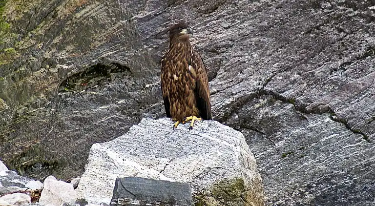 Holiday home in Eidsvåg