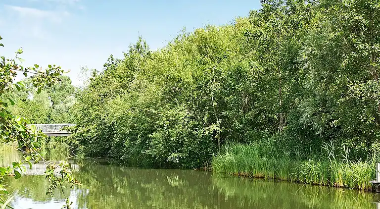 Holiday home in Otterndorf