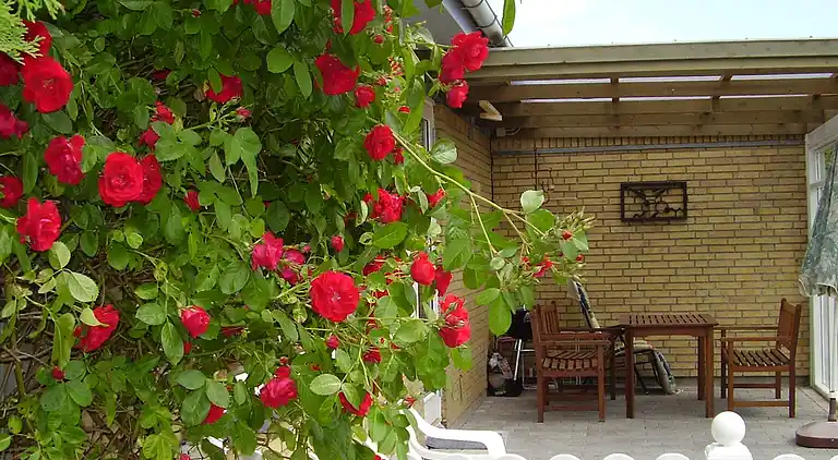 Holiday home in Dannemare