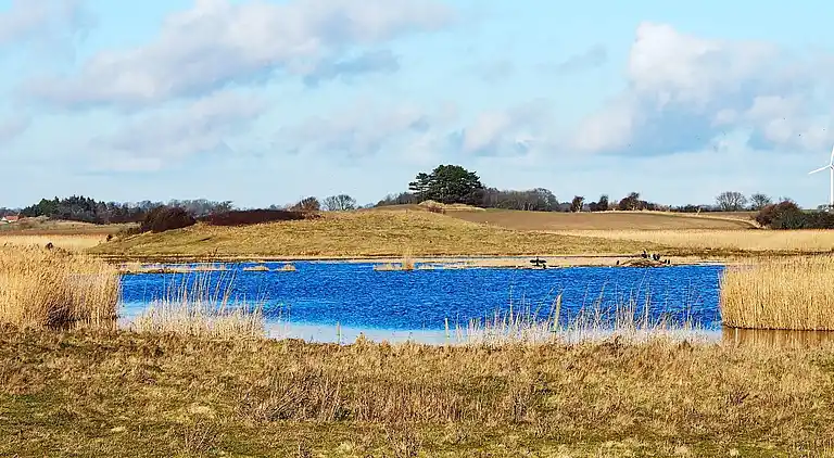 Holiday home in Humble