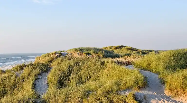 Holiday home in Hvide Sande