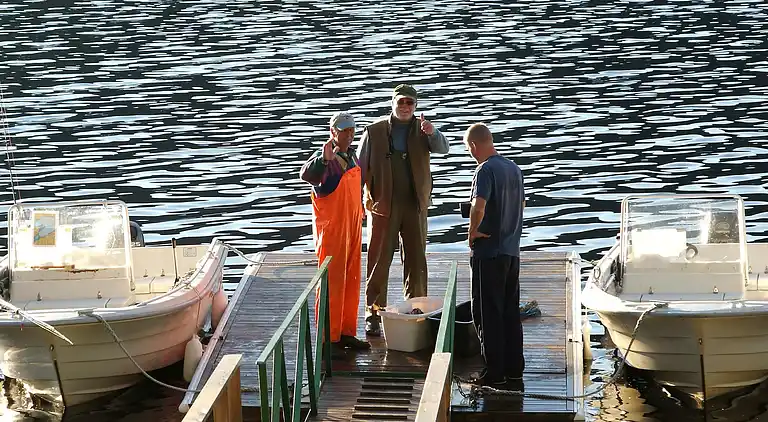 Holiday home in Surnadal