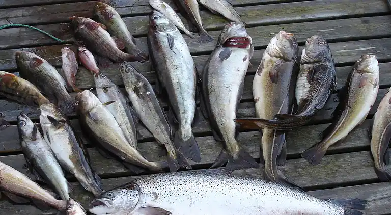 Holiday home in Jelsa