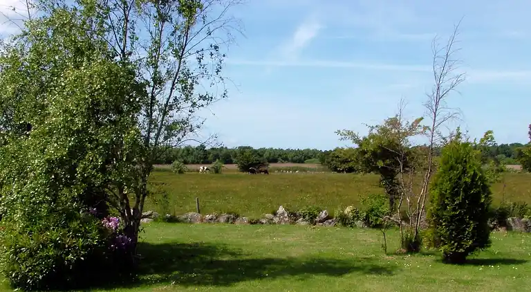 Holiday home in Ristinge