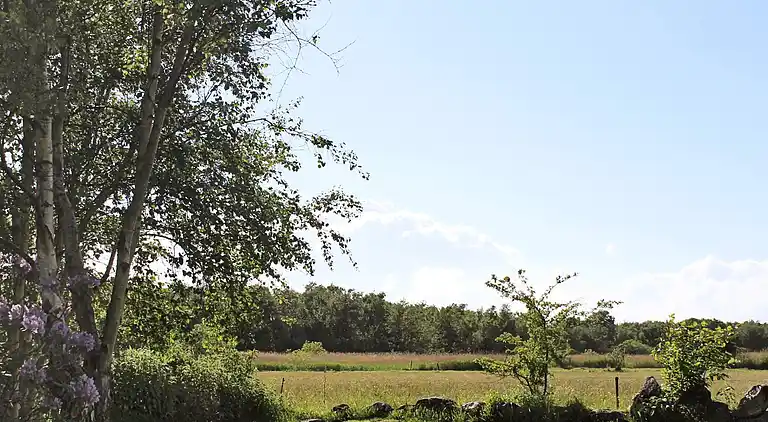 Holiday home in Ristinge