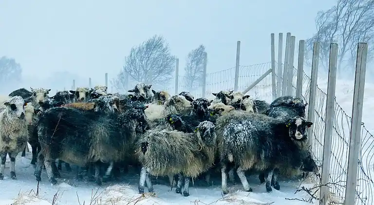 Holiday home in Øksnes