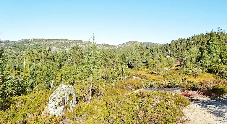 Semesterbostad i Bortelid