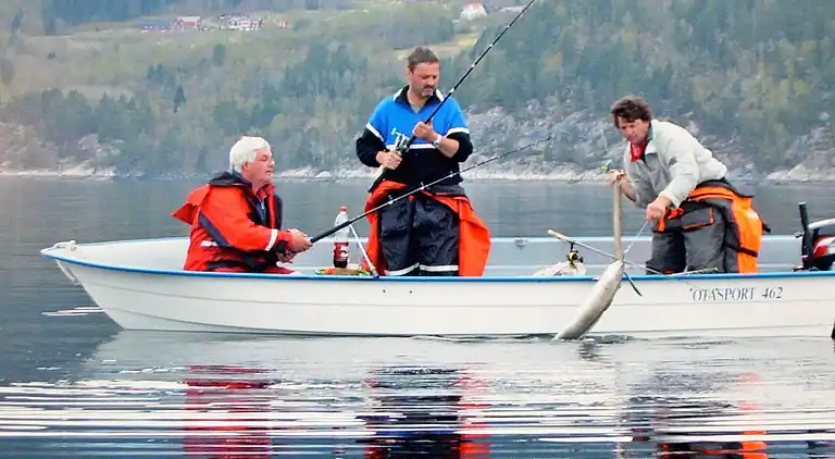Holiday home in Eidsvåg