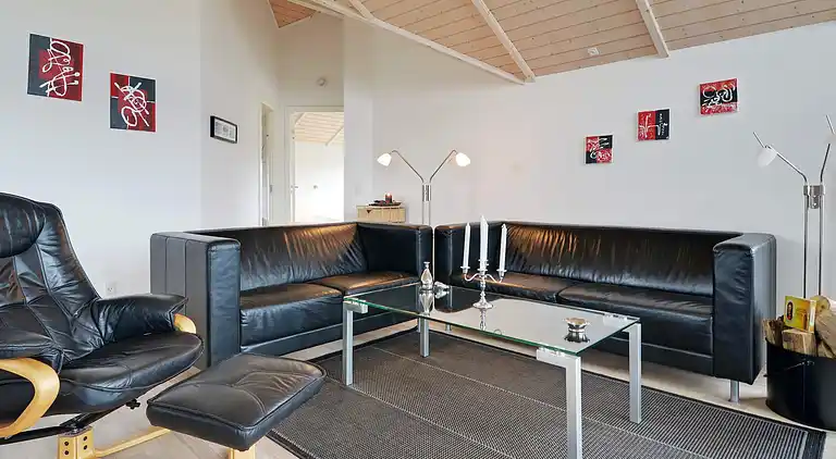 Sommerhus ved Skaven Strand