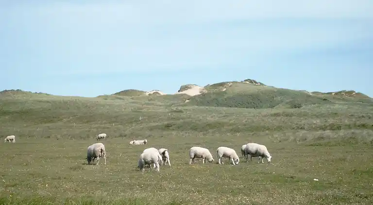 Semesterbostad i Løkken