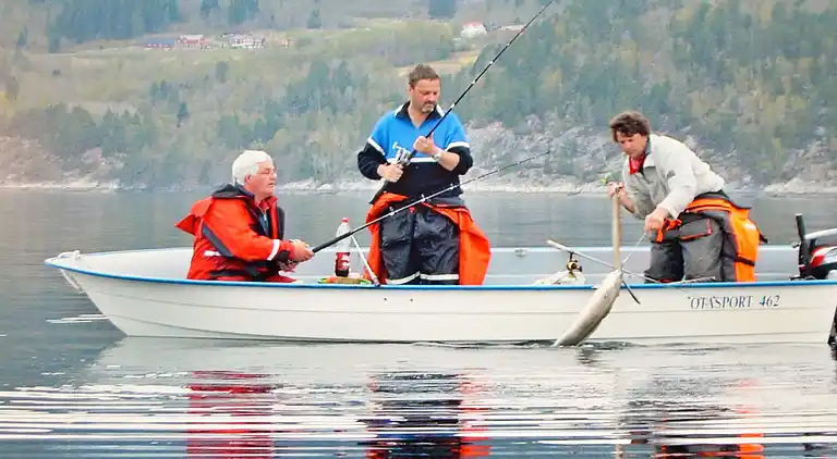 Holiday home in Eidsvåg
