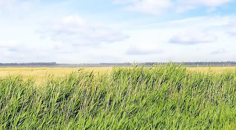 Holiday home in Ulfborg
