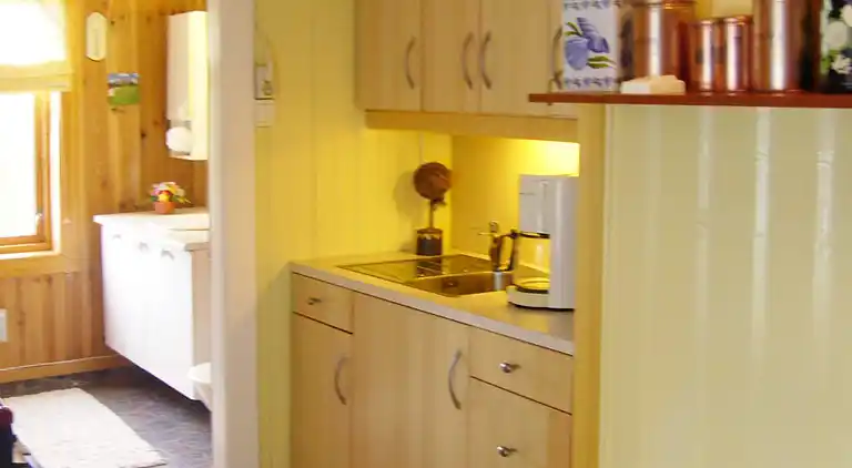 Feriebolig i Lyngdal