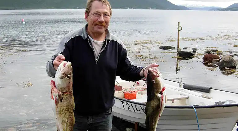 Sommerhus i Karlsøy