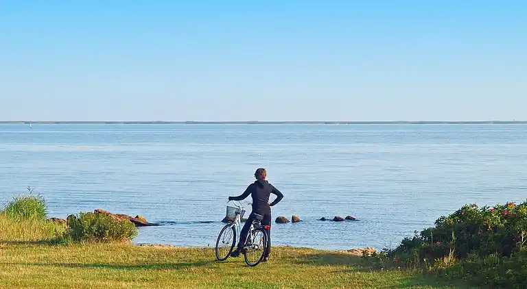 Holiday home in Bork Havn