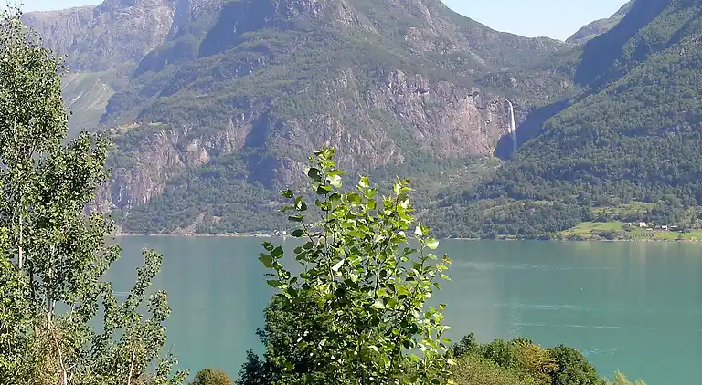 Holiday home in Luster Municipality