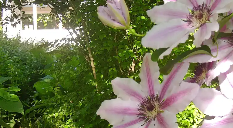 Feriebolig ved Smidstrup Strand