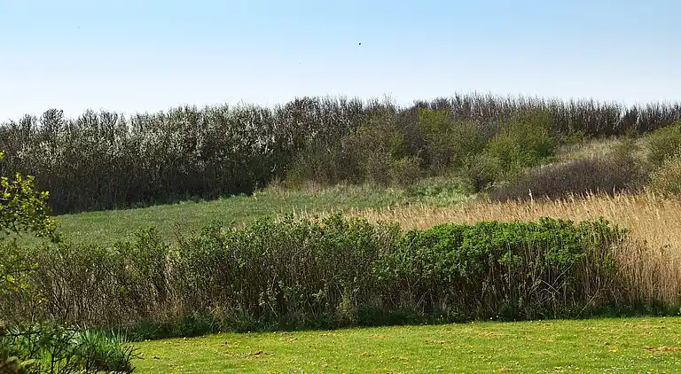 Holiday home in Humble