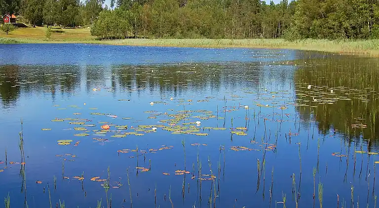 Holiday home in Mellerud V