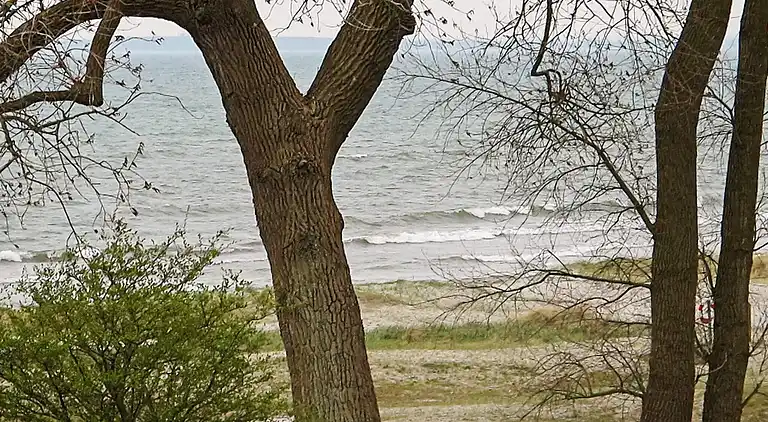 Holiday home in Faxe Ladeplads