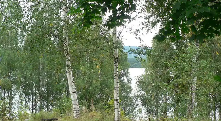 Casa vacanze in Röna