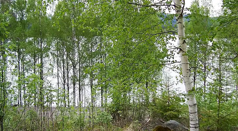 Casa vacanze in Röna