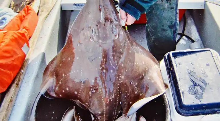 Holiday home in Eidsvåg