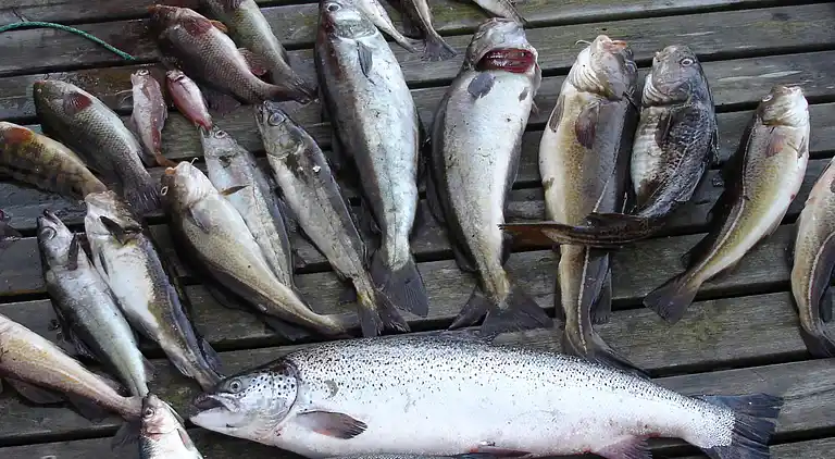 Holiday home in Jelsa