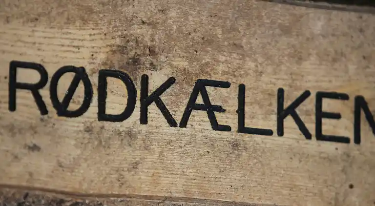 Ferienhaus in Snogebæk