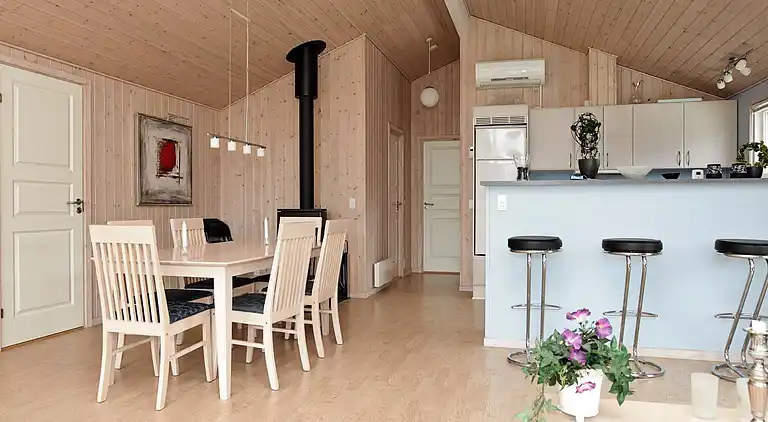 Sommerhus i Dannemare