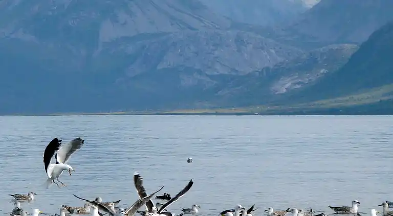 Holiday home in Øksnes