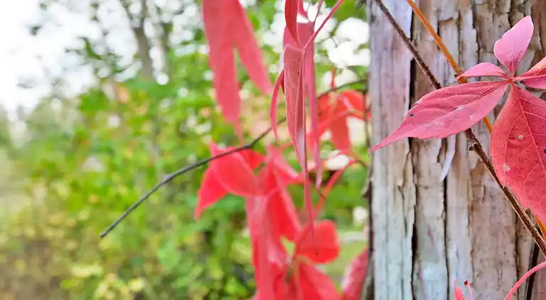 Ferienhaus in Ronneby NV