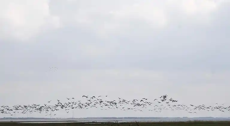 Feriebolig i Ulfborg