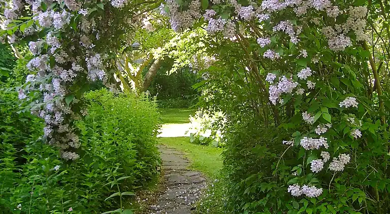 Feriebolig ved Smidstrup Strand