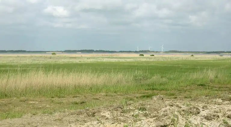 Holiday home in Ulfborg