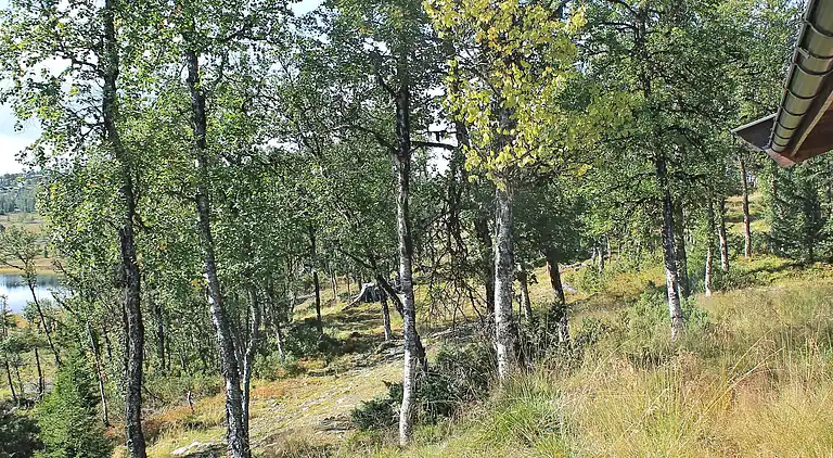 Holiday home in Espeset