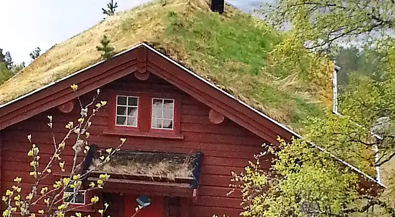 Holiday home in Åseral Municipality