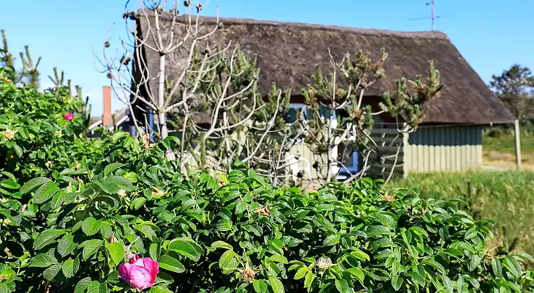 Holiday home in Hvide Sande