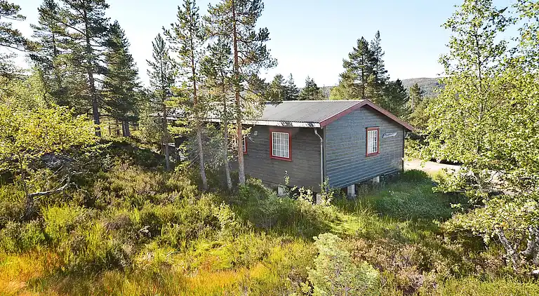 Semesterbostad i Bortelid