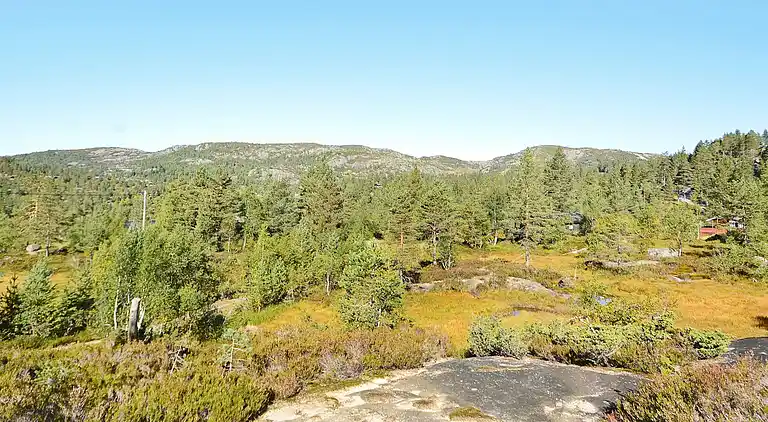 Semesterbostad i Bortelid