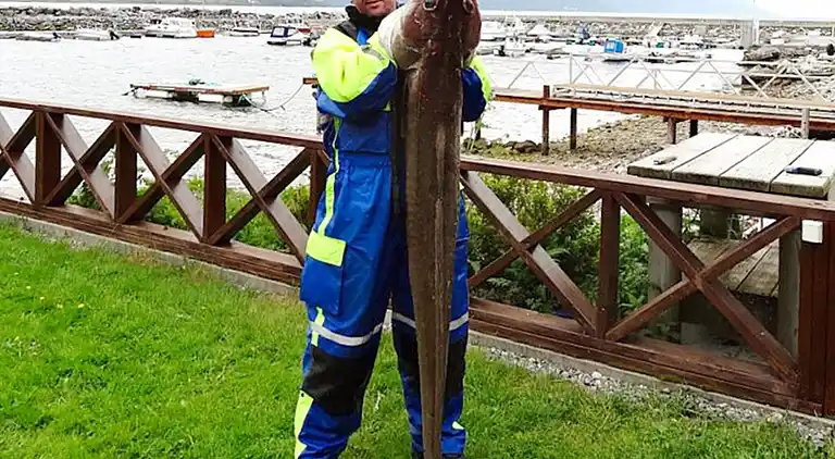 Holiday home in Eidsvåg