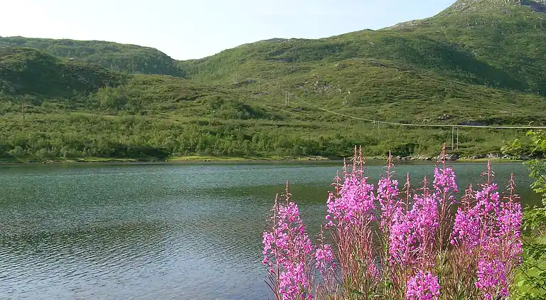Sommerhus i Karlsøy