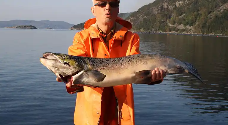 Holiday home in Nessa